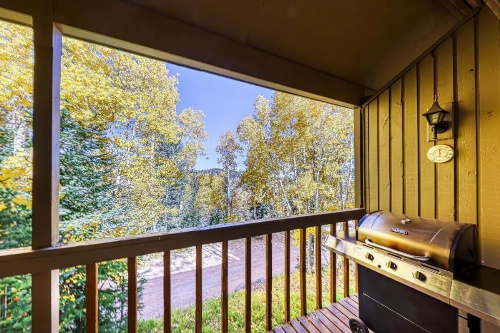 Snow Shoe 3A image 17