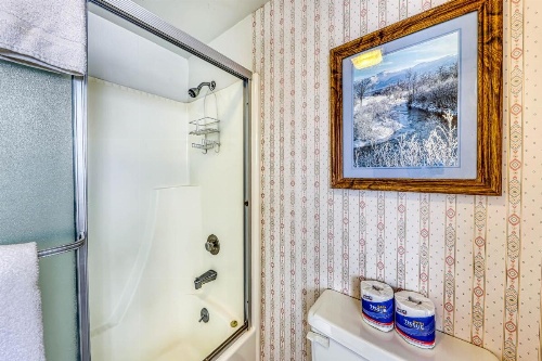 Snow Shoe 3A image 22