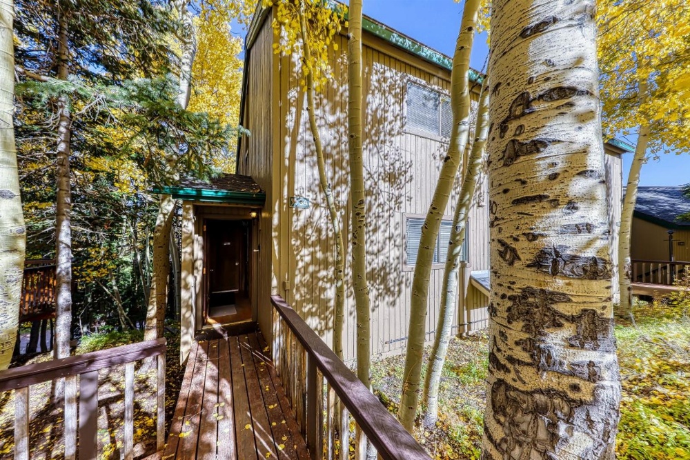 Snow Shoe 3A Main image