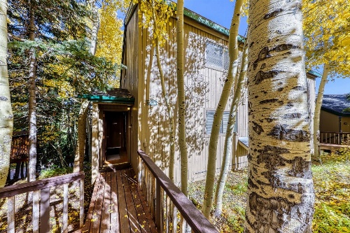 Snow Shoe 3A image 3